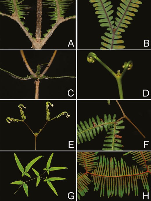 Image from article 5